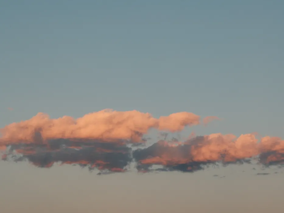DSCF1631